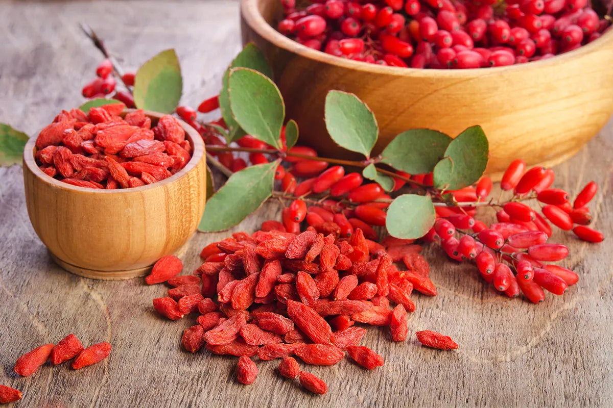 The Magic of Berberine: A Comprehensive Look