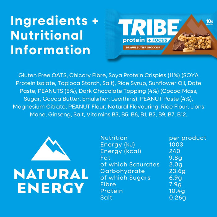 Tribe Protein + Focus Flapjack 12 x 60g