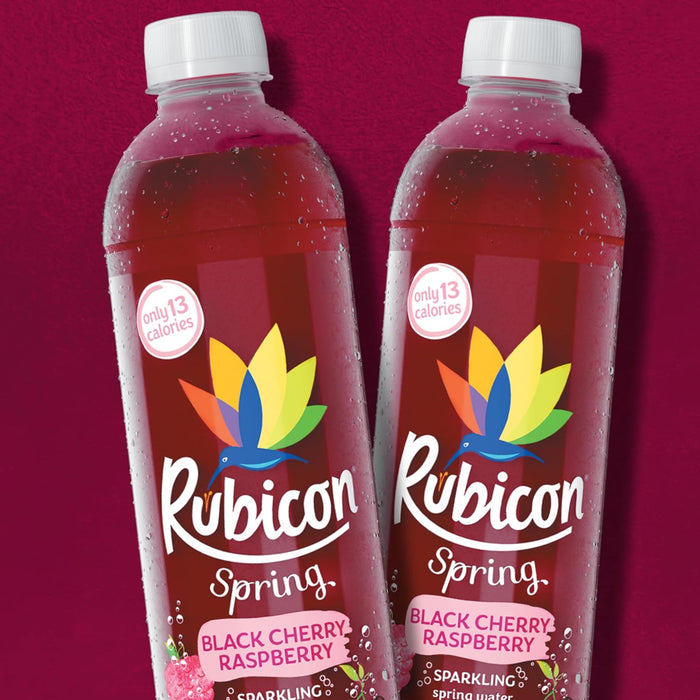 Rubicon Spring 12 x 500ml - Sparkling Spring Water with Real Fruit Juice & Natural Flavours