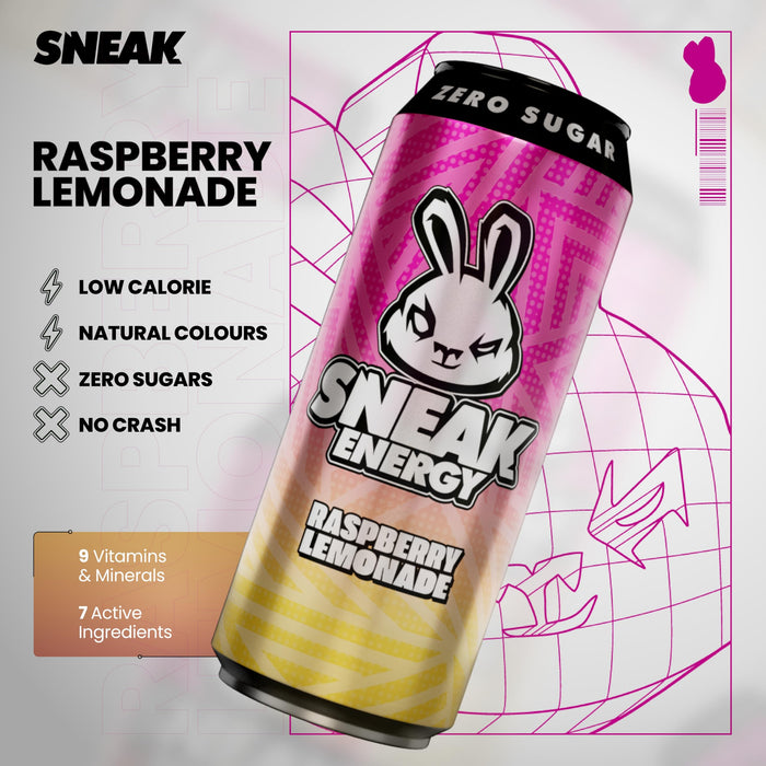 SNEAK Energy 12x500ml