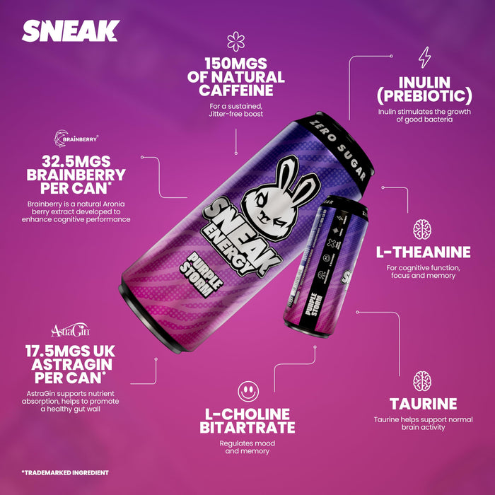 SNEAK Energy 12x500ml