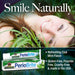 Nature's Answer PerioBrite Toothpaste Cool Mint 4 Oz (113.4g) - Other at MySupplementShop by Natures Answer Inc