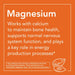 NOW Foods Magnesium 400 mg 180 Veg Capsules - Vitamins & Minerals at MySupplementShop by NOW Foods