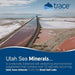 Trace Minerals Utah Sea Minerals 16 oz - Vitamins & Minerals at MySupplementShop by Trace Minerals