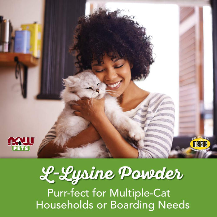 NOW Foods Pets, L-Lysine for Cats - 226g - Pet supplements at MySupplementShop by NOW Foods