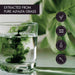 KIKI Health Liquid Chlorophyll 125ml - Health and Wellbeing at MySupplementShop by KIKI Health