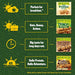 Nature Valley Crunchy 18x42g Oats & Chocolate - Sports Nutrition at MySupplementShop by Nature Valley