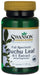 Swanson Full Spectrum Buchu Leaf 4:1 Extract, 100mg - 60 caps - Health and Wellbeing at MySupplementShop by Swanson